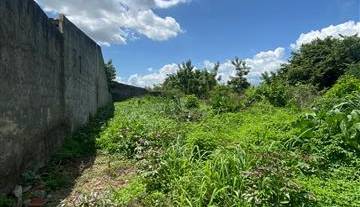 WhatsApp Image 2026-02-13 at 17.29.51 3.jpeg